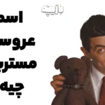 اسم عروسک مستربین چیه